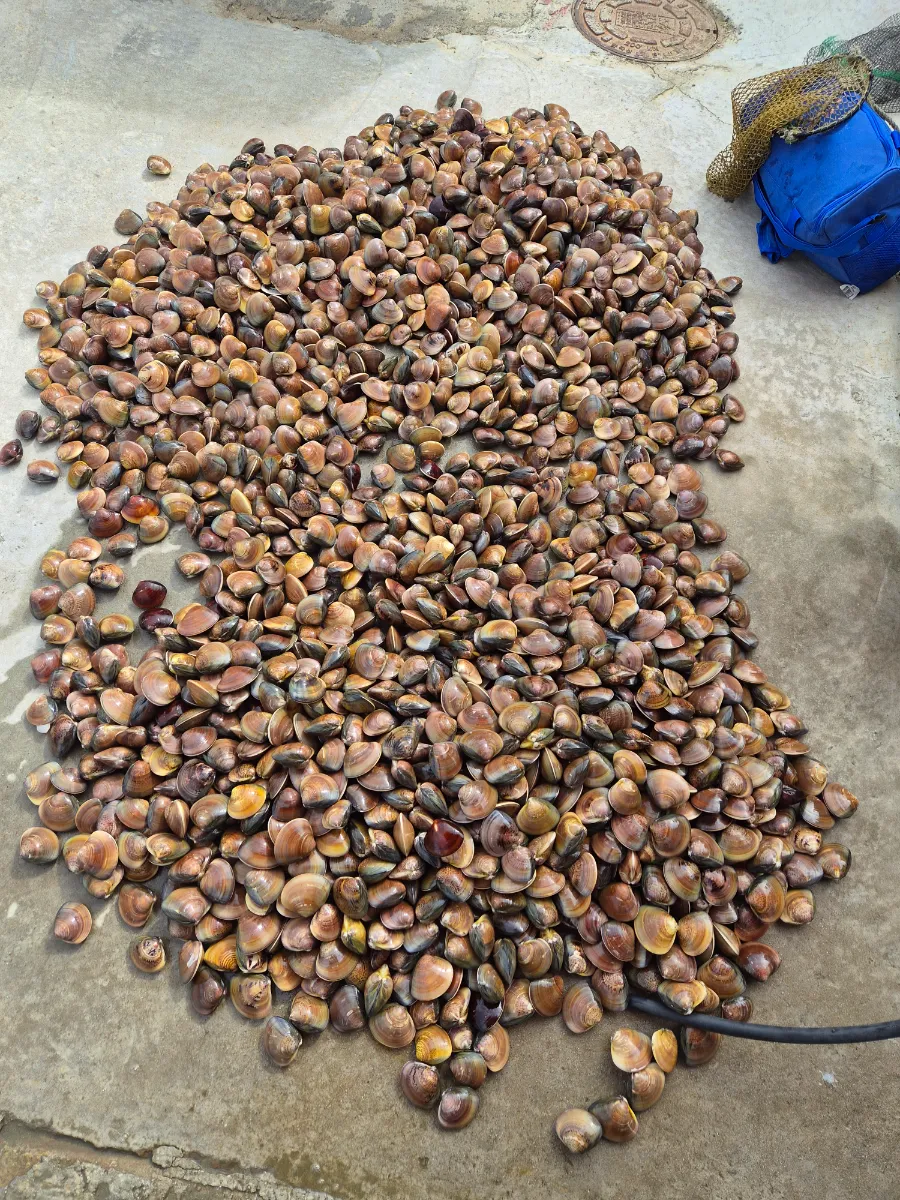 8월 13일 주문도 상합 120kg 1